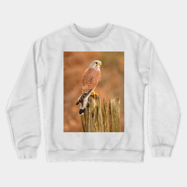 Perched Raptor Crewneck Sweatshirt by Femaleform